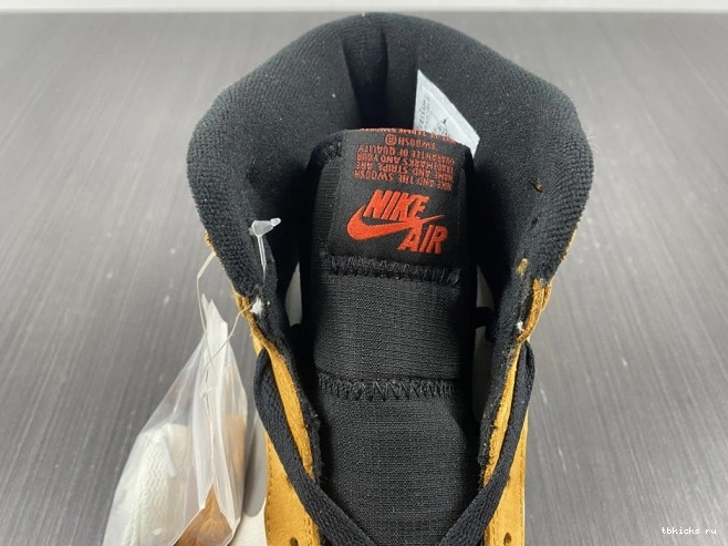 Rep TB DB2889-700 Element High 1 Gore-Tex Jordan Curry Light 0708
